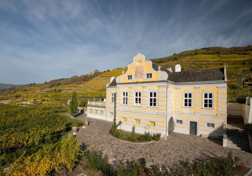 The Top Wineries in the World: A Wine Expert's Perspective